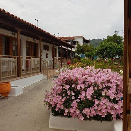 Asimina'S House Apart otel İskados Dış mekan fotoğraf