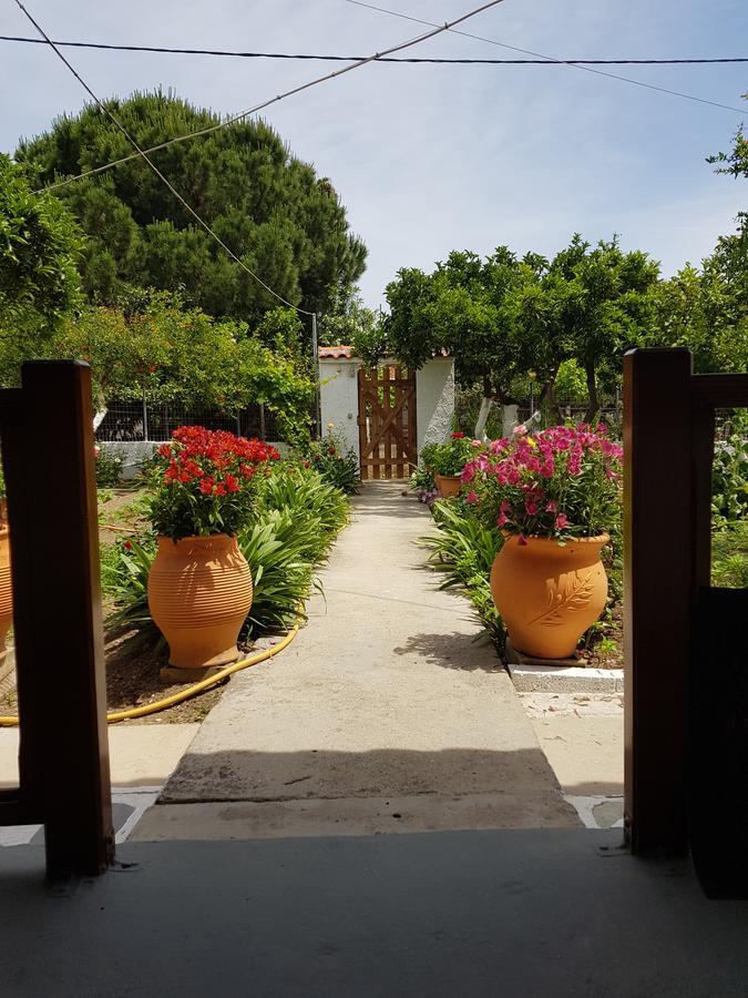 Asimina'S House Apart otel İskados Dış mekan fotoğraf